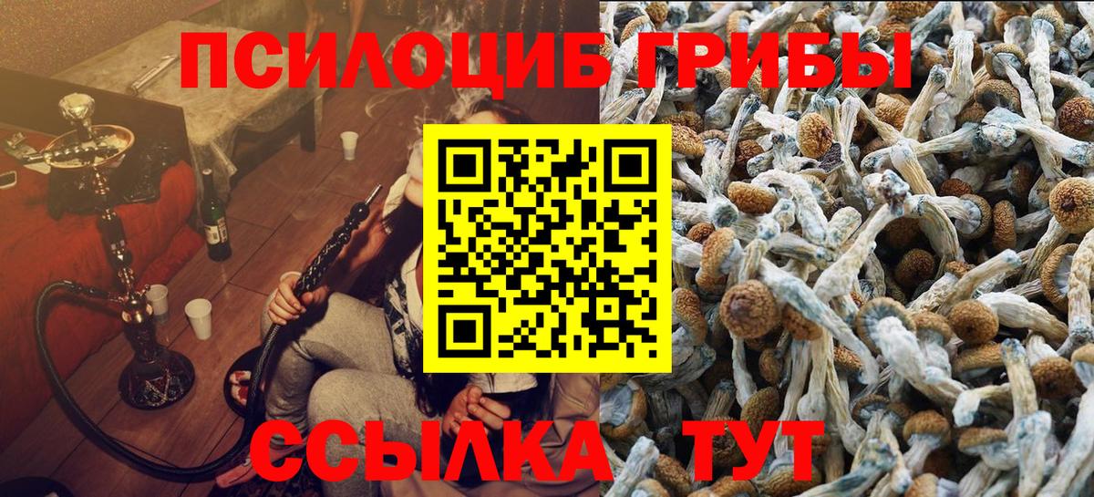 Севастополь  Галлюциногенные грибы Cubensis  Вход с VPN 